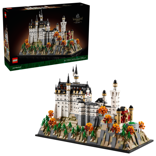Set 21063