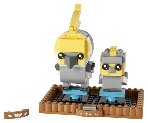 Set 40481