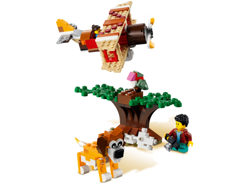 Set 31116