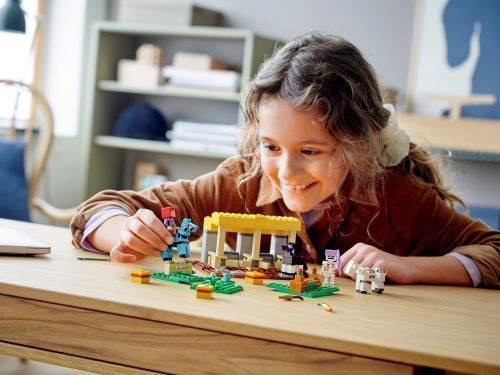 Set 21171