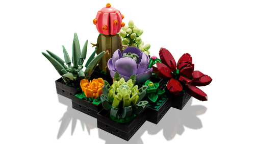Set 10309