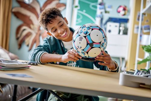 Set 43019