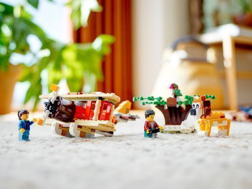 Set 31116