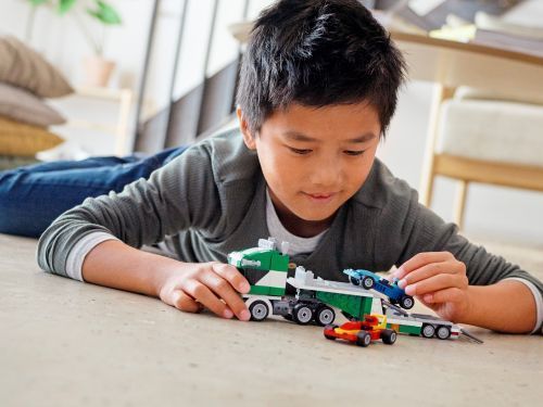 Set 31113