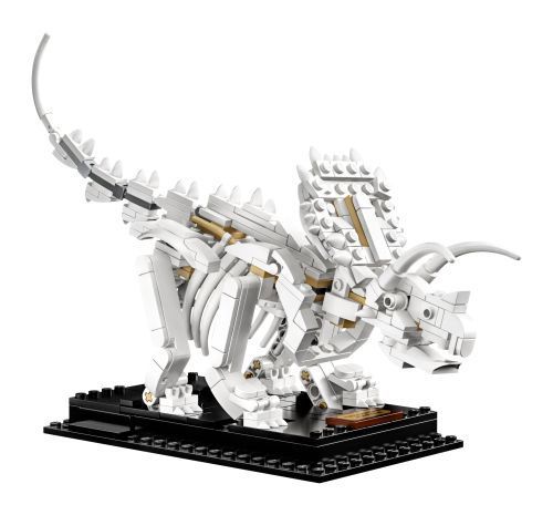 Set 21320