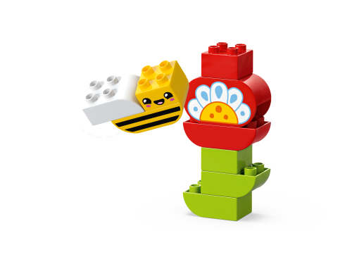 Set 10444