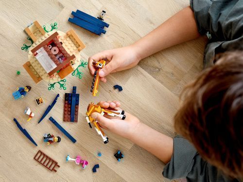 Set 31116