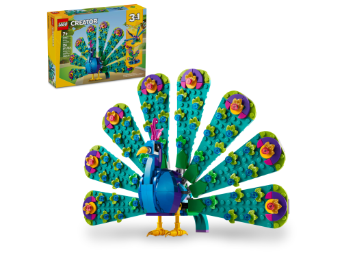 Set 31157
