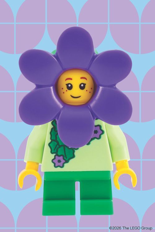 Set 5009997