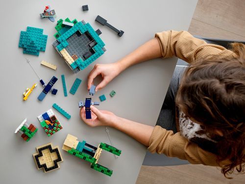 Set 21173