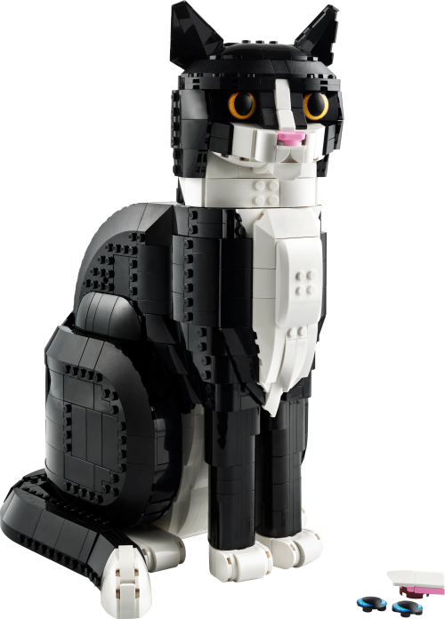 Set 21349