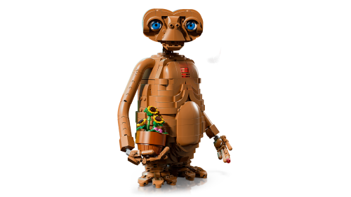 Set 21370