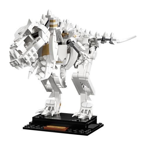 Set 21320