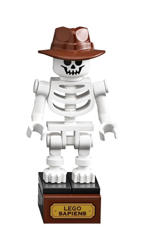 Set 21320