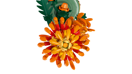 Set 10368