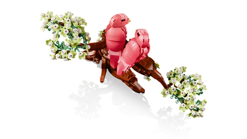 Set 21365