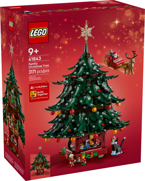 Set 41843