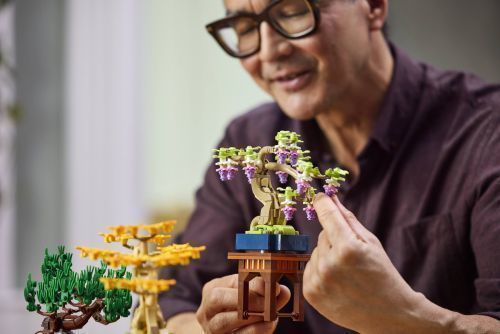 Set 10373