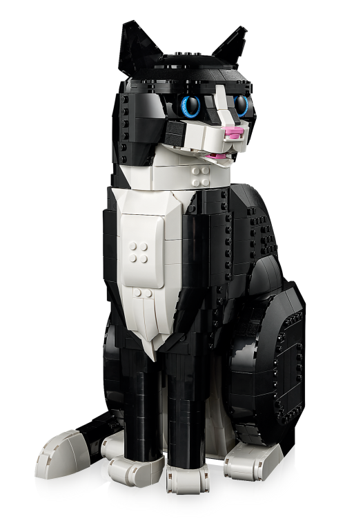 Set 21349