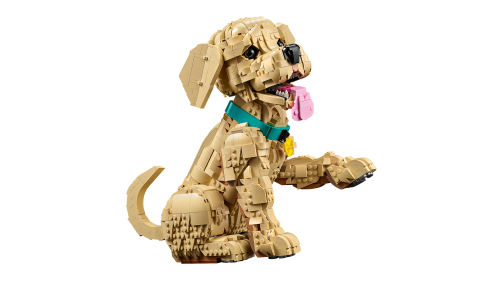 Set 11384