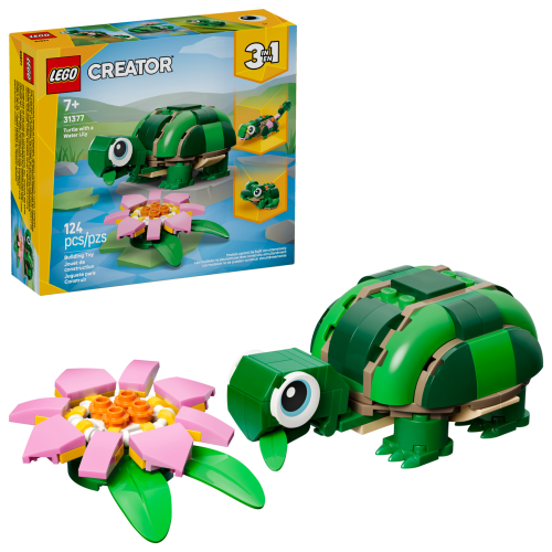 Set 31377