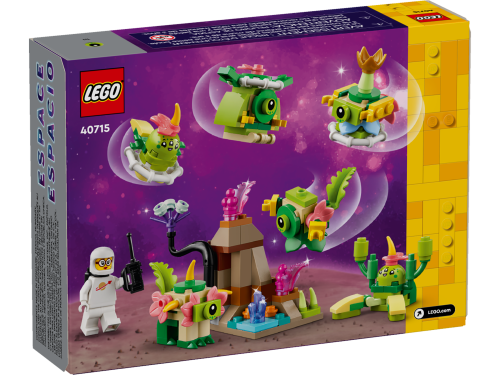 Set 40715