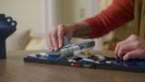 Set 21350