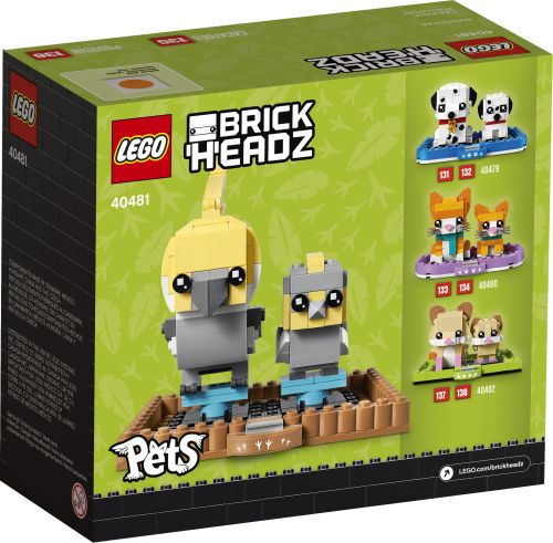 Set 40481