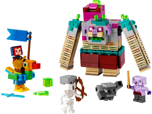 Set 21257