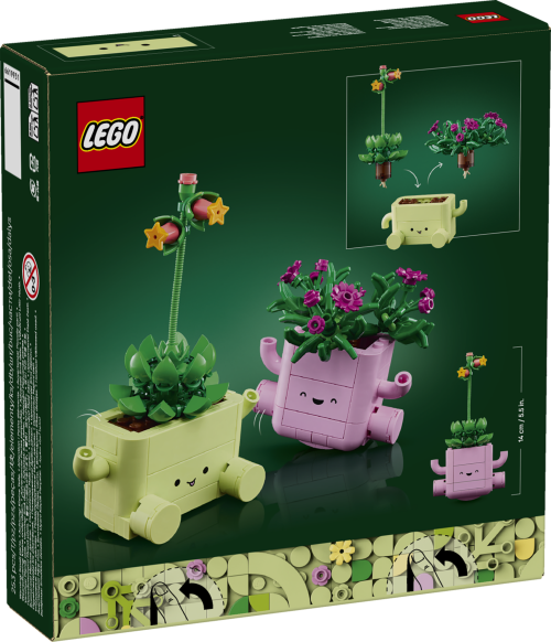 Set 11506