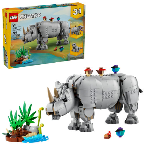 Set 31171
