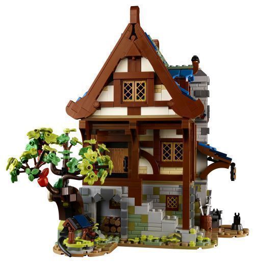 Set 21325