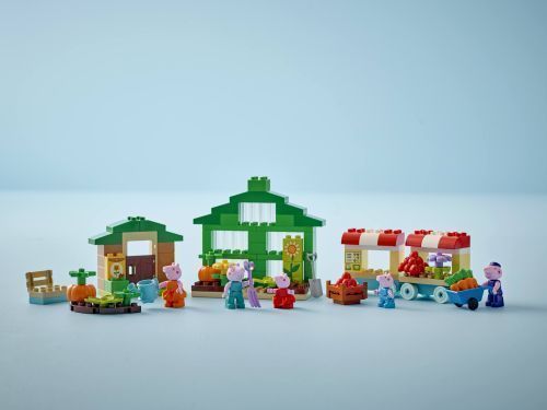 Set 10461