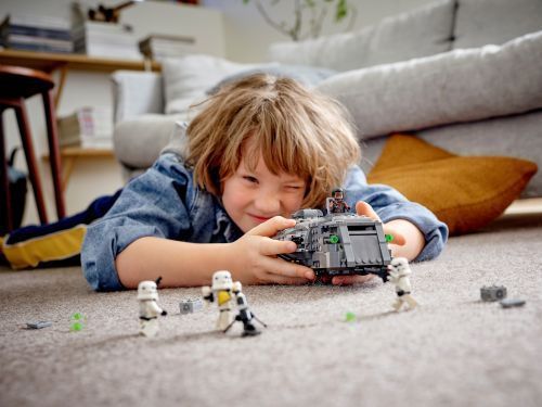 Set 75311