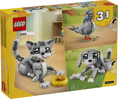 Set 31163