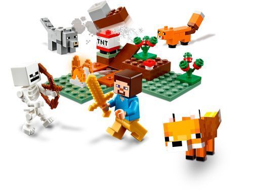 Set 21162