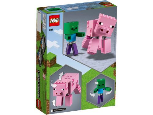 Set 21157
