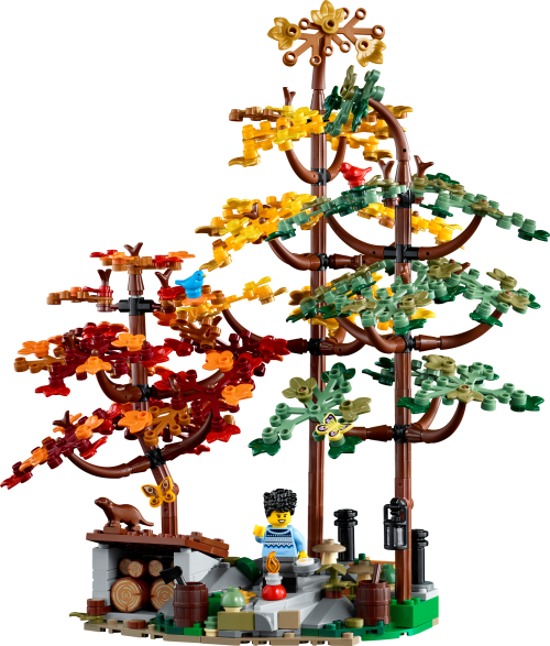 Set 21338