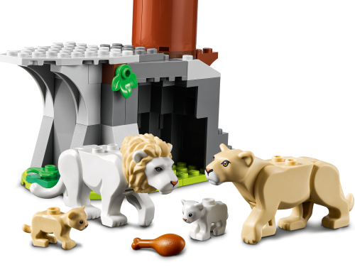 Set 60307